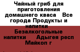 Чайный гриб для приготовления домашнего кваса - Все города Продукты и напитки » Безалкогольные напитки   . Адыгея респ.,Майкоп г.